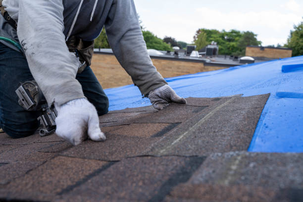 Best Flat Roof Repair Services  in Dexter, OR