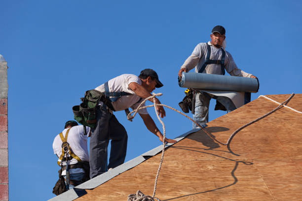 Best Metal Roofing Contractor  in Dexter, OR