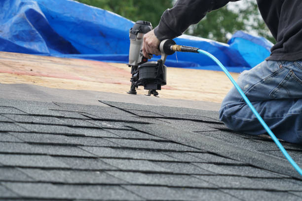 Best Sealant for Roof  in Dexter, OR