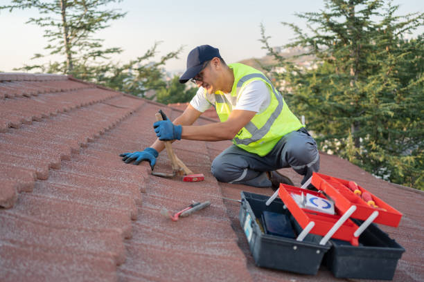 Best Roof Maintenance Services  in Dexter, OR